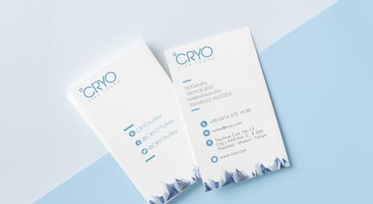 CRYO | Corporate Identity Design